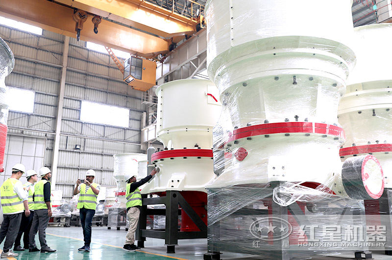 紅星廠家到廠參觀